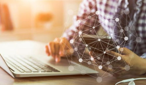 高新技术企业认定咨询服务机构如何选择？以网络技术服务企业为例